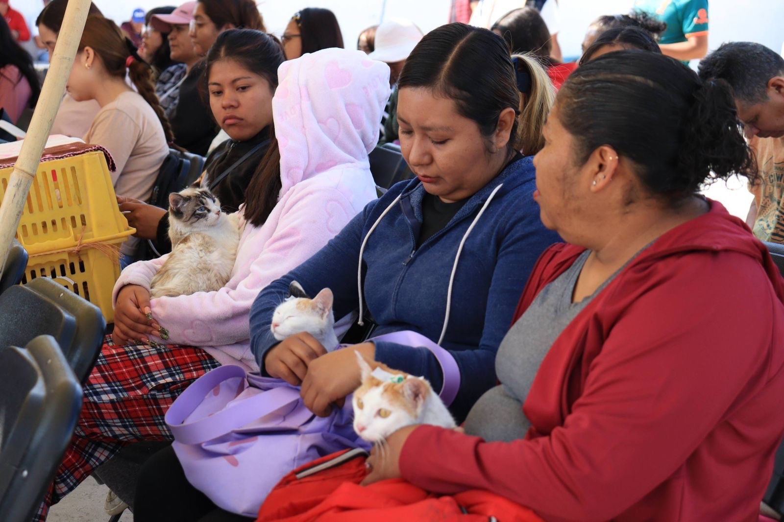 6c6ffc83-df96-47ba-854e-56b4019ae413