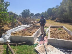 WhatsApp Image 2026-03-06 at 11.10.24 AM (1)