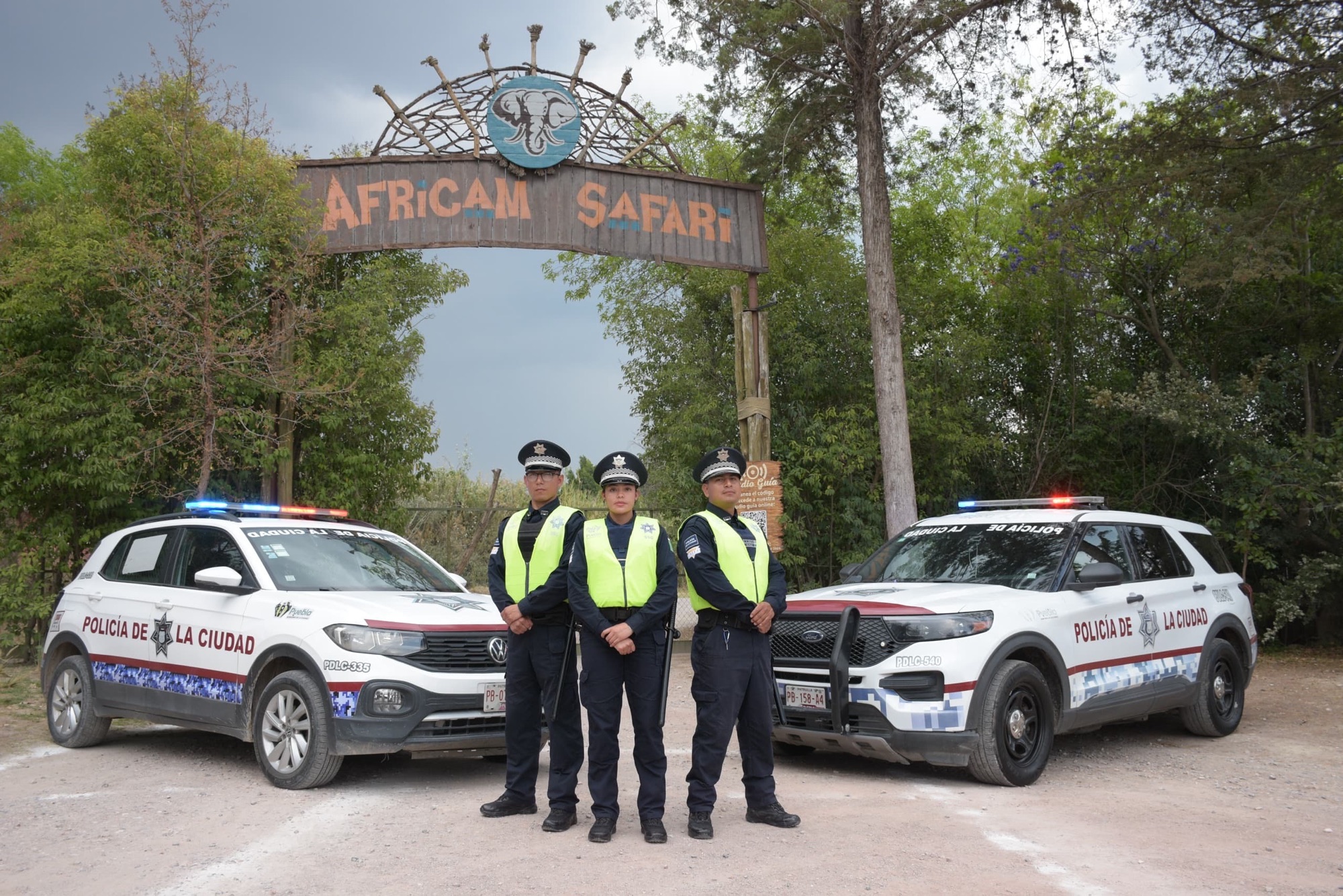 e0ce033c-c786-470a-9525-e2631f142da2