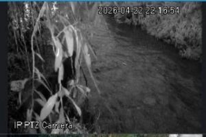 ed240caa-2688-40fb-95f2-0d996f27ca5e.jpg